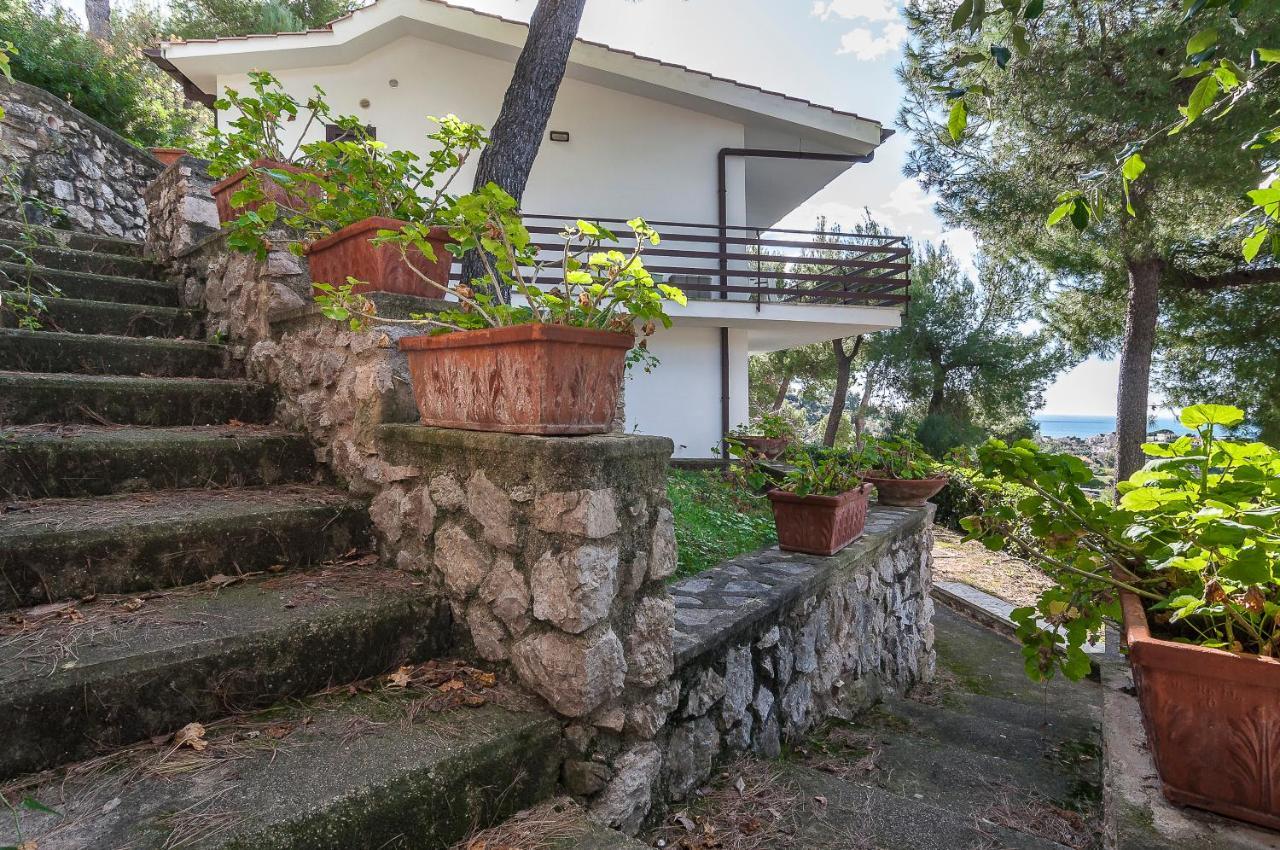Casa Vacanza Kair Bilo 228 スペルロンガ エクステリア 写真